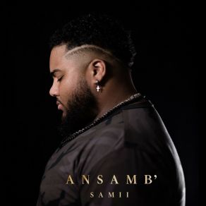 Download track ANSAMB' Samii