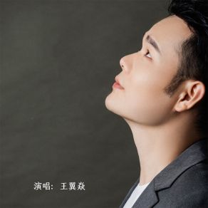 Download track 这一路谁能同甘共苦 (伴奏) 王翼焱