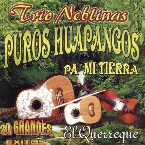 Download track El Hidalguense Trío Neblinas