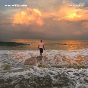 Download track Shake Shake Pygmy Hippo