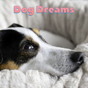 Download track Mindful Android Dog Relaxation