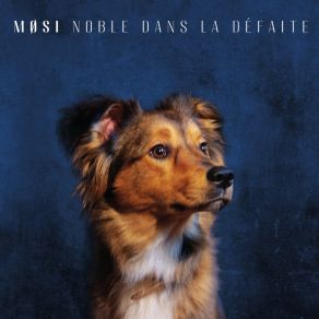 Download track Sous La Pluie, Les Deux-Sèvres Mosi