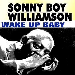 Download track All My Love In Vain Sonny Boy Williamson