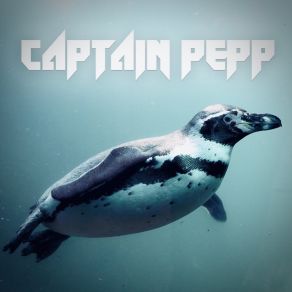 Download track Braesig CAPTAIN PEPP