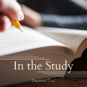 Download track In The Study Daytime Owl