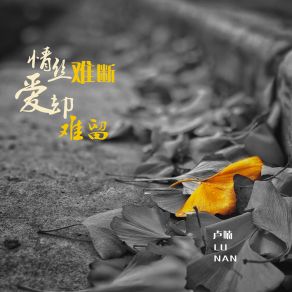 Download track 情丝难断爱却难留 卢喃