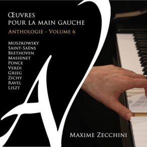 Download track 11. Malgre Tout In F-Sharp Minor Maxime Zecchini