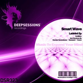 Download track Labirint (Dansaert Remix) Smart WaveDansaert