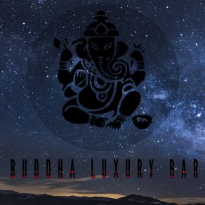 Download track Digital Heart Buddha Luxury Bar