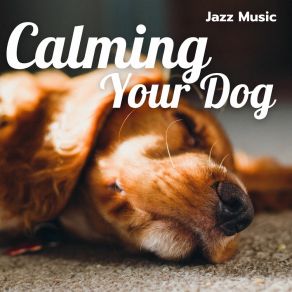 Download track Pet Song Dogs Jazz