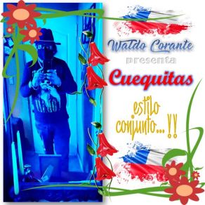 Download track Los Lagos De Chile Waldo Corante