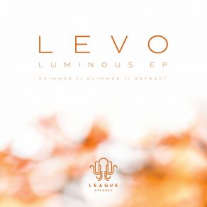 Download track Shimmer (Original Mix) Levo