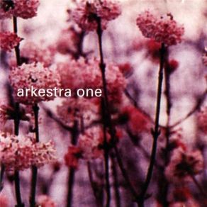 Download track Skydiving Arkestra One