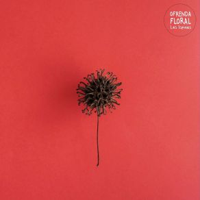 Download track El Iglú Ofrenda Floral