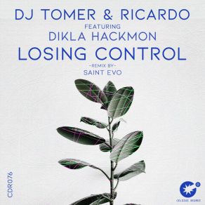 Download track Losing Control Dikla Hackmon