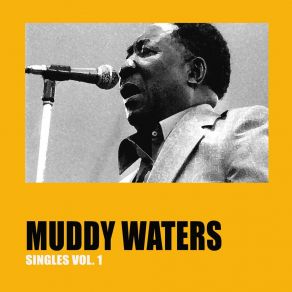 Download track Rollin' And Tumblin' Part Two Muddy Waters