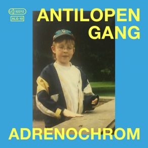 Download track Würfel Skit Antilopen Gang