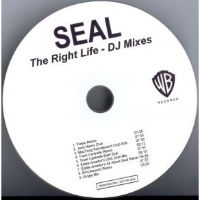 Download track The Right Life (ROCAsound Remix) SealROCAsound