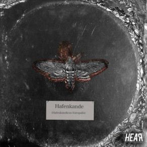 Download track The Moth (Original Mix) Hafenkande