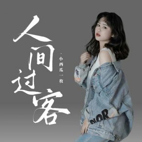 Download track 人间过客 (伴奏) 小西瓜一枚