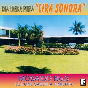 Download track Bulla De Viajeros Marimba Pura Lira Sonora