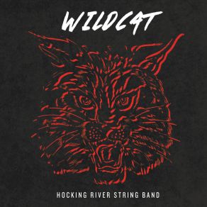 Download track High Noon On A Minnow Hocking River String Band