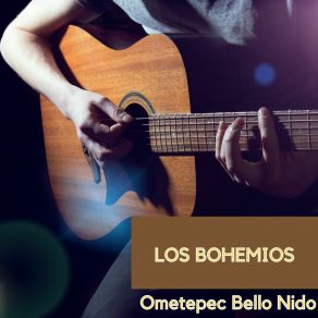 Download track El Día Que Yo Muera Los Bohemios