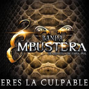 Download track Chucuchá Banda Embustera De Chiautla De Tapia Puebla