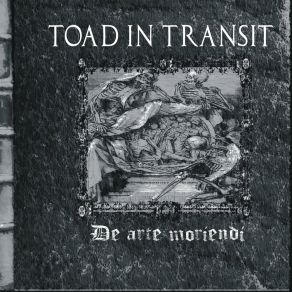 Download track Psalm 11: 3 Toad In Transit