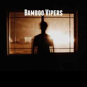 Download track Enemy Of The State We're In Bamboo Vipers