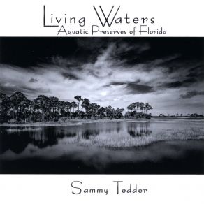 Download track Living Waters Sammy Tedder