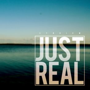 Download track Just Real Syndiem