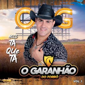 Download track Pensa Em Nois E Chora O Garanhão Do Forró