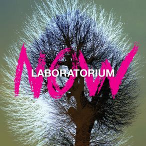 Download track Laboratorium LaboratoriumO. S. T. R.