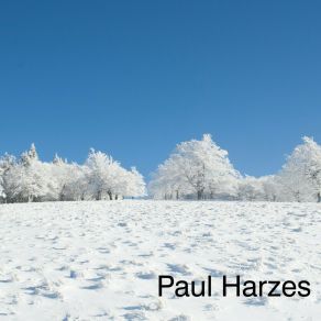 Download track Der Schönste Moment Paul Harzes