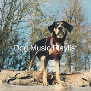 Download track Warm Solo Piano Jazz - Vibe For Cute Dogs Dog Music Playlist