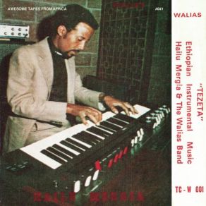 Download track Atmetalegnem Woi' Hailu Mergia, The Walias