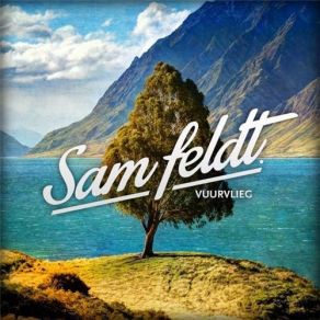 Download track Show Me Love (EDX Remix) Sam Feldt