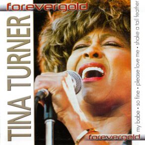 Download track We Need An Understanding Tina Turner