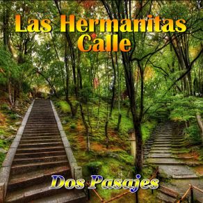 Download track El Buque De Mas Potencia Las Hermanitas Calle