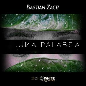 Download track Gracias A La Vida Bastian Zacit