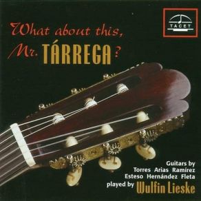 Download track Sueno Mazurca-Francisco Tarrega Wulfin Lieske