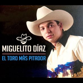 Download track Un Camaguán Pa' Mi Viejo Miguelito Díaz