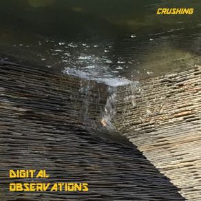 Download track Crushing Digital Observations