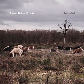 Download track Lake Molten Soil Simon Below Quartet