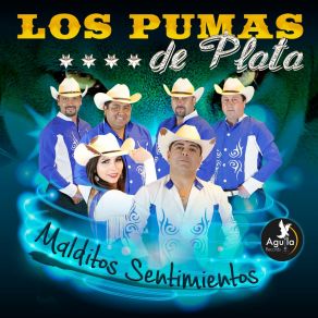 Download track La Arañita Los Pumas De Plata