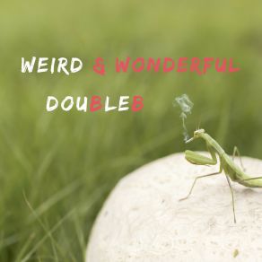 Download track Weird And Wonderful DoubleB