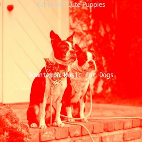 Download track Dream-Like Ambience For Separation Anxiety Downtempo Music For Dogs