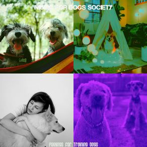 Download track Unique Dogs Music For Dogs Society