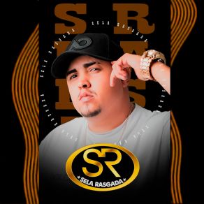 Download track Bota Pra Descer Sela Rasgada